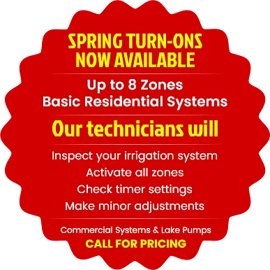 Spring Start Ups Now Available