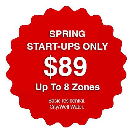 Spring Start Ups - $89