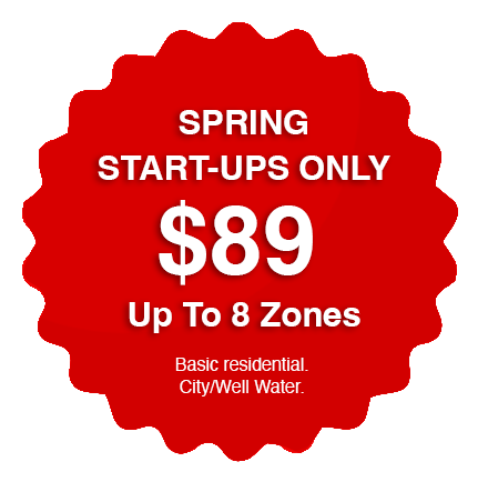 Spring Start Ups - $89